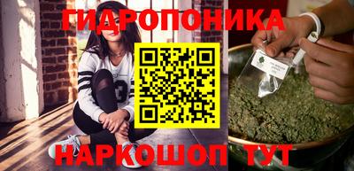альфа пвп Новодвинск