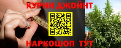 гашик Новокубанск