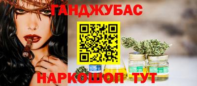 альфа пвп Новодвинск