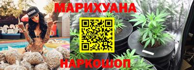 альфа пвп Новодвинск