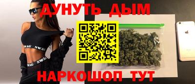 альфа пвп Новодвинск