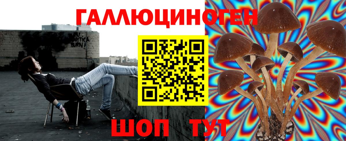 Галлюциногенные грибы Magic Shrooms Симферополь